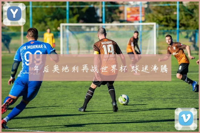 年后奥地利再战世界杯 球迷沸腾